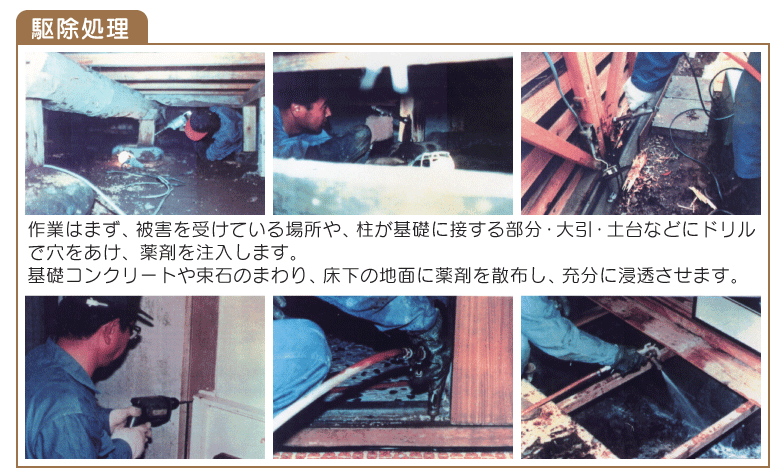 駆除処理